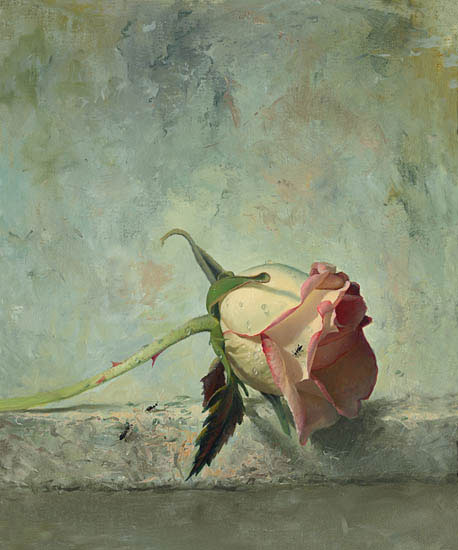 Nature morte for Jahrriesnge flower lpf13221 Compatible Nature morte Jahrriesnge for flower lpf13221