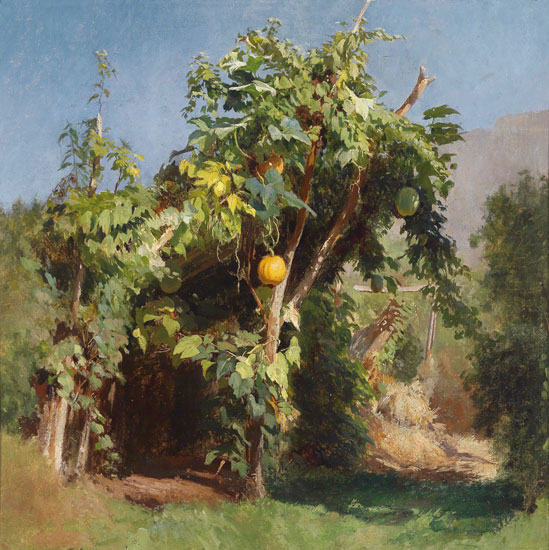 Nature morte for Jahrriesnge fruits lpf13493 Compatible Nature morte Jahrriesnge for fruits lpf13493