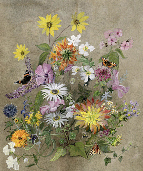 Nature morte for Jahrriesnge flowers lpf13501 Compatible Nature morte Jahrriesnge for flowers lpf13501