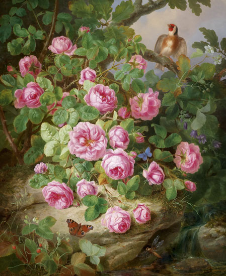 Nature morte for Jahrriesnge flowers lpf13542 Compatible Nature morte Jahrriesnge for flowers lpf13542