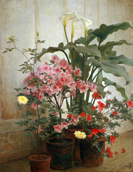 Nature morte for Jahrriesnge flowers lpf13589 Compatible Nature morte Jahrriesnge for flowers lpf13589