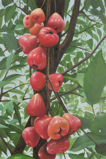 Nature morte for Jahrriesnge fruits lpf13649 Compatible Nature morte Jahrriesnge for fruits lpf13649