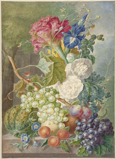 Nature morte for Jahrriesnge fruits lpf13652 Compatible Nature morte Jahrriesnge for fruits lpf13652