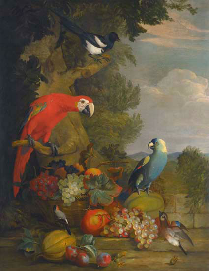 Nature morte for Jahrriesnge fruits lpf13658 Compatible Nature morte Jahrriesnge for fruits lpf13658