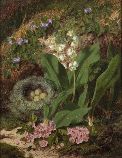 Nature morte for Jahrriesnge flowers lpf13823 Compatible Nature morte Jahrriesnge for flowers lpf13823