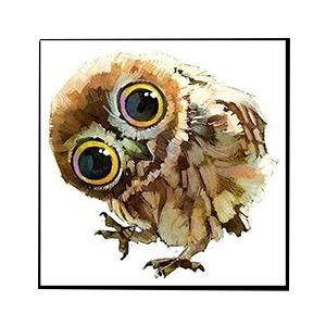 Animaux for Jahrriesnge owl-lpg0514 Compatible Animaux Jahrriesnge for owl-lpg0514