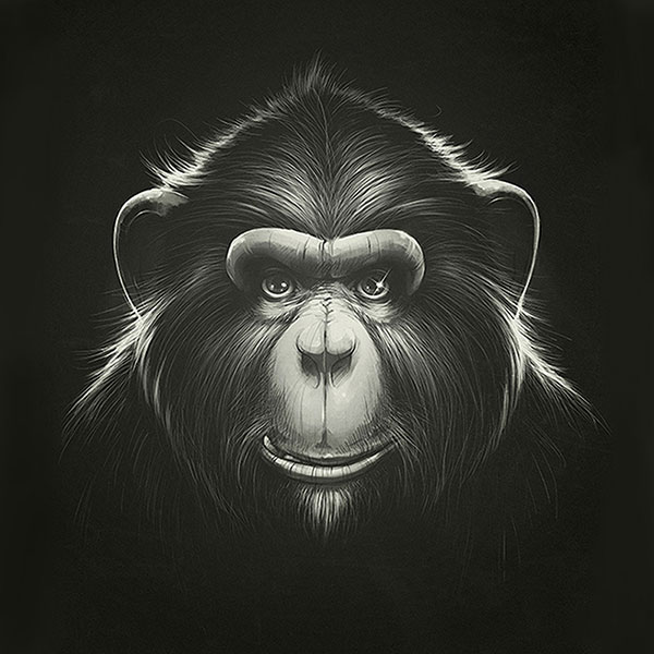 Animaux for Jahrriesnge monkey-lpg0531 Compatible Animaux Jahrriesnge for monkey-lpg0531