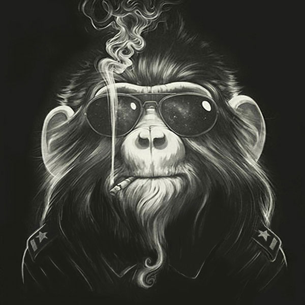 Animaux for Jahrriesnge monkey-lpg0536 Compatible Animaux Jahrriesnge for monkey-lpg0536