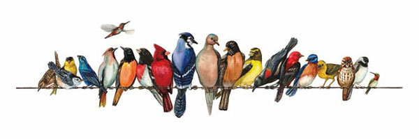 Animaux for Jahrriesnge birds-song-lpg1000 Compatible Animaux Jahrriesnge for birds-song-lpg1000