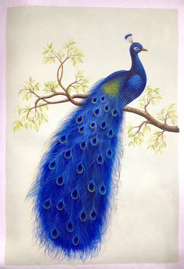 Animaux for Jahrriesnge happy-peacock-lpg1014 Compatible Animaux Jahrriesnge for happy-peacock-lpg1014