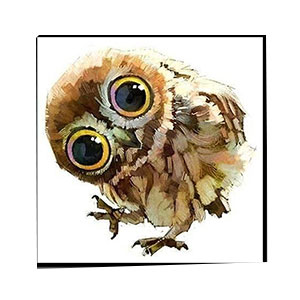 Animaux for Jahrriesnge owl-lpg1569 Compatible Animaux Jahrriesnge for owl-lpg1569