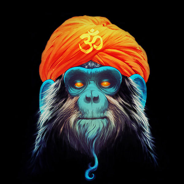 Animaux for Jahrriesnge monkey-lpg1625 Compatible Animaux Jahrriesnge for monkey-lpg1625