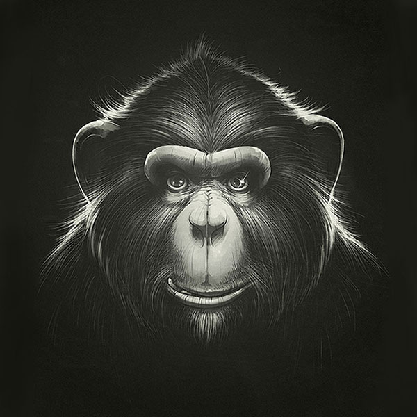 Animaux for Jahrriesnge monkey-lpg1627 Compatible Animaux Jahrriesnge for monkey-lpg1627