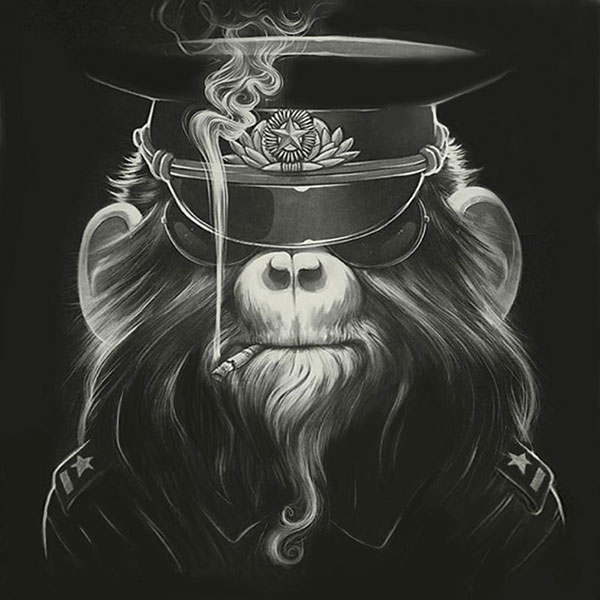 Animaux for Jahrriesnge monkey-lpg1631 Compatible Animaux Jahrriesnge for monkey-lpg1631