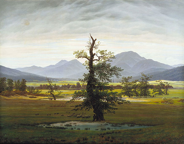 Paysage for Jahrriesnge tree lpg2345 Compatible Paysage Jahrriesnge for tree lpg2345
