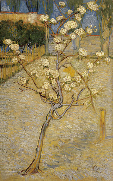 Nature morte for Jahrriesnge flowers lpg2492 Compatible Nature morte Jahrriesnge for flowers lpg2492