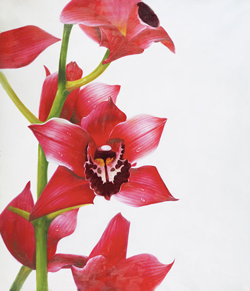 Nature morte for Jahrriesnge flowers lpg2509 Compatible Nature morte Jahrriesnge for flowers lpg2509