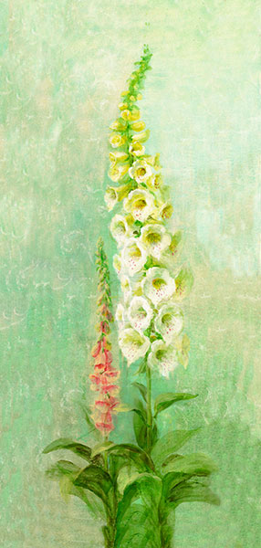 Nature morte for Jahrriesnge flowers lpg2532 Compatible Nature morte Jahrriesnge for flowers lpg2532
