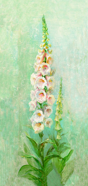 Nature morte for Jahrriesnge flowers lpg2533 Compatible Nature morte Jahrriesnge for flowers lpg2533