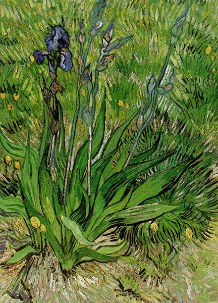 Nature morte for Jahrriesnge flowers lpg2536 Compatible Nature morte Jahrriesnge for flowers lpg2536