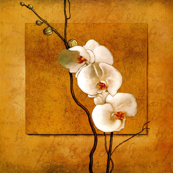 Nature morte for Jahrriesnge flowers lpg2555 Compatible Nature morte Jahrriesnge for flowers lpg2555