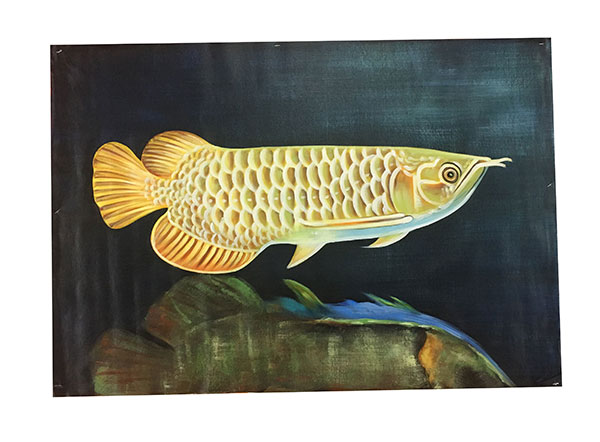 Animaux for Jahrriesnge fish lpg2670 Compatible Animaux Jahrriesnge for fish lpg2670