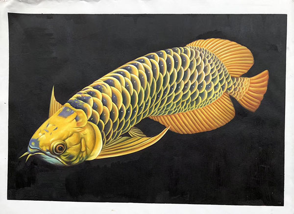 Animaux for Jahrriesnge fish lpg2671 Compatible Animaux Jahrriesnge for fish lpg2671
