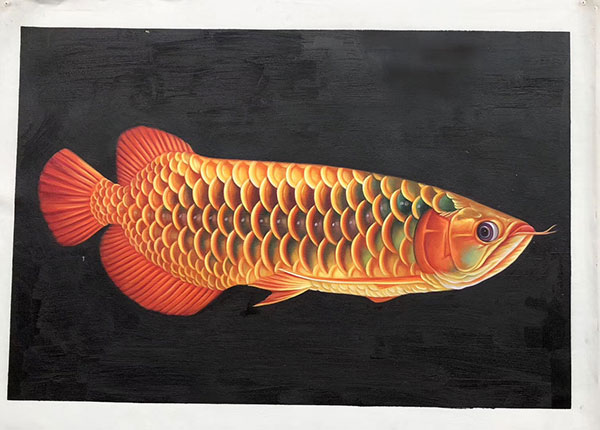 Animaux for Jahrriesnge fish lpg2673 Compatible Animaux Jahrriesnge for fish lpg2673