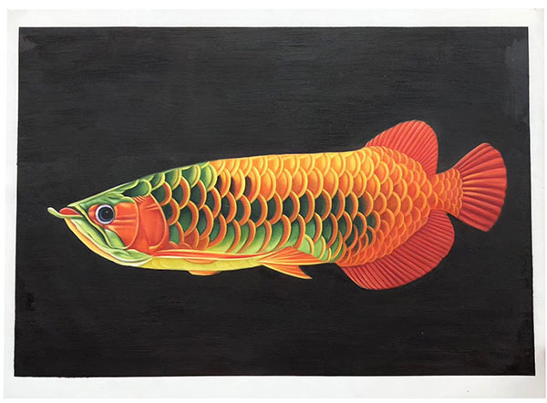 Animaux for Jahrriesnge fish lpg2674 Compatible Animaux Jahrriesnge for fish lpg2674