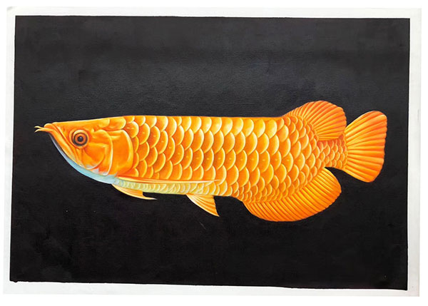 Animaux for Jahrriesnge fish lpg2675 Compatible Animaux Jahrriesnge for fish lpg2675